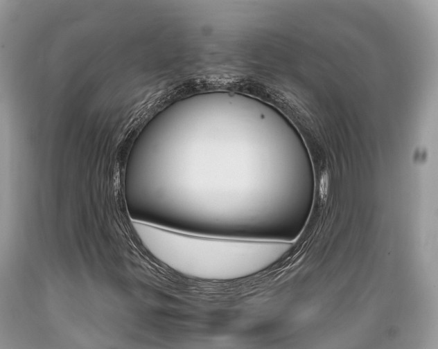 X0000089671299200706210743