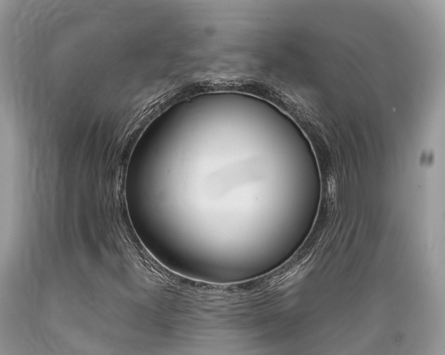 X0000089671300200706210743