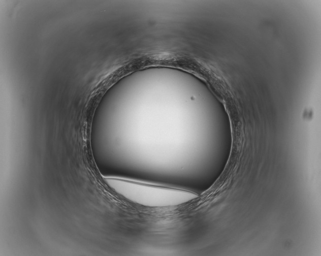 X0000089671301200706210743