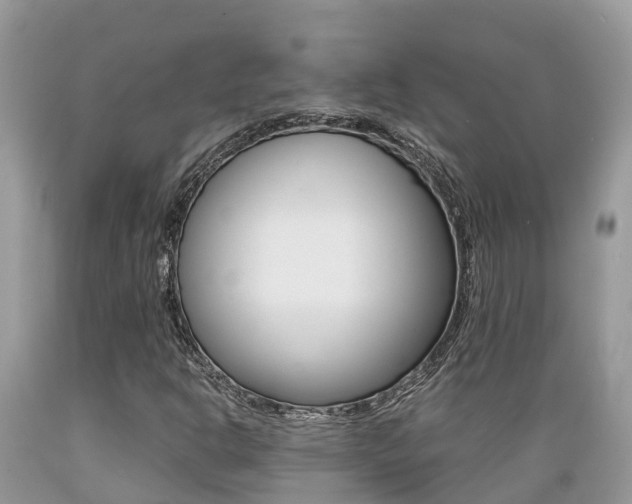 X0000089671302200706210743
