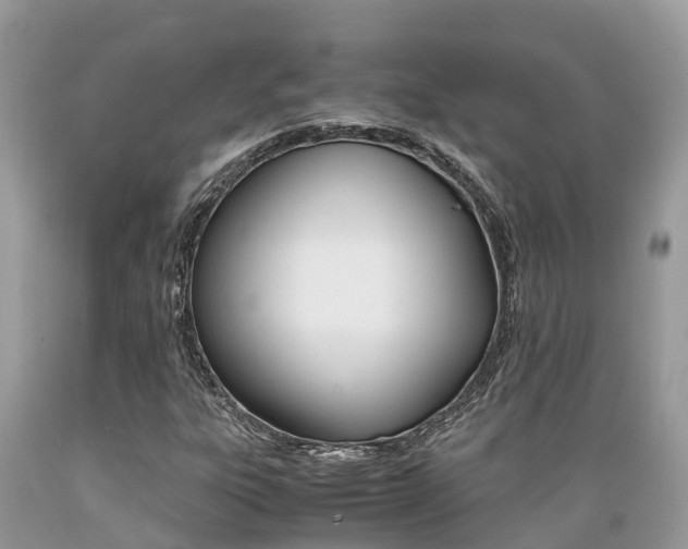 X0000089671303200706210743