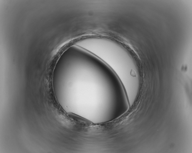 X0000089671304200706210744