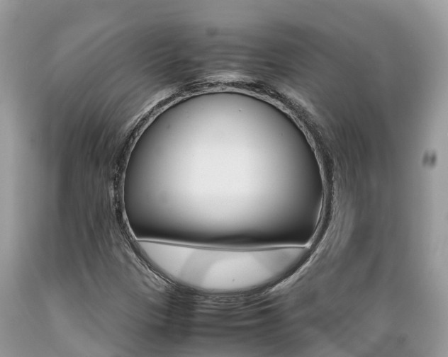 X0000089671305200706210744