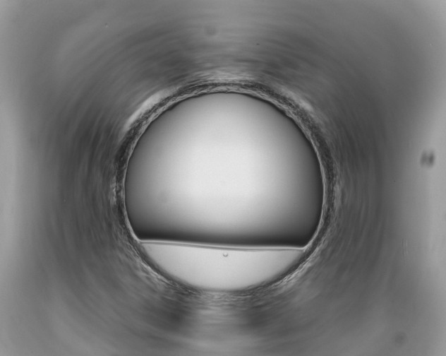 X0000089671306200706210744