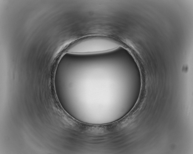 X0000089671307200706210744