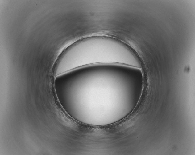X0000089671308200706210744