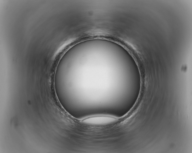 X0000089671309200706210744