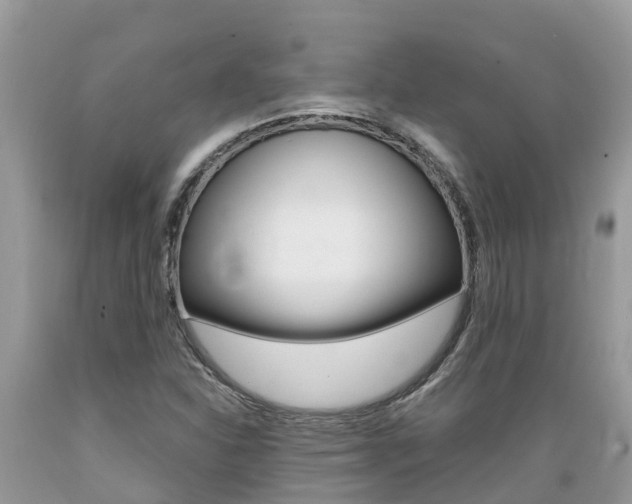 X0000089671310200706210744