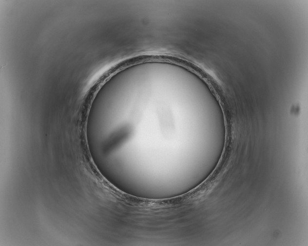 X0000089671311200706210744