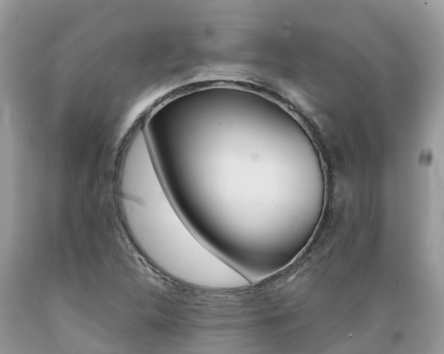 X0000089671312200706210744