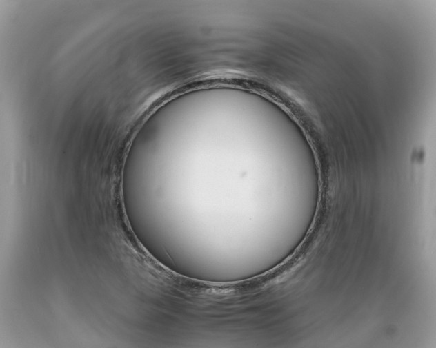 X0000089671313200706210744