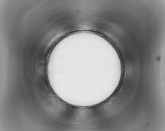X0000089671314200706210744