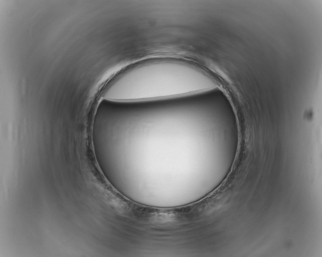 X0000089671315200706210744