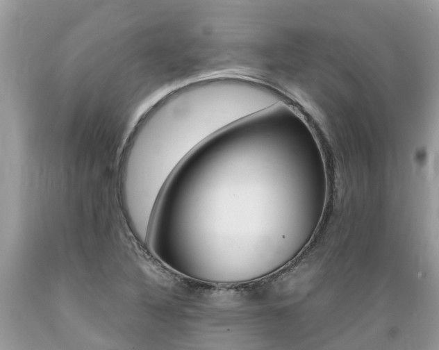 X0000089671316200706210744