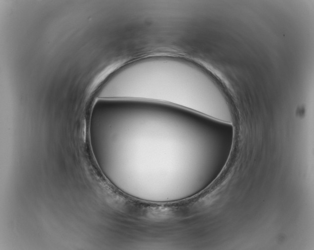 X0000089671317200706210744
