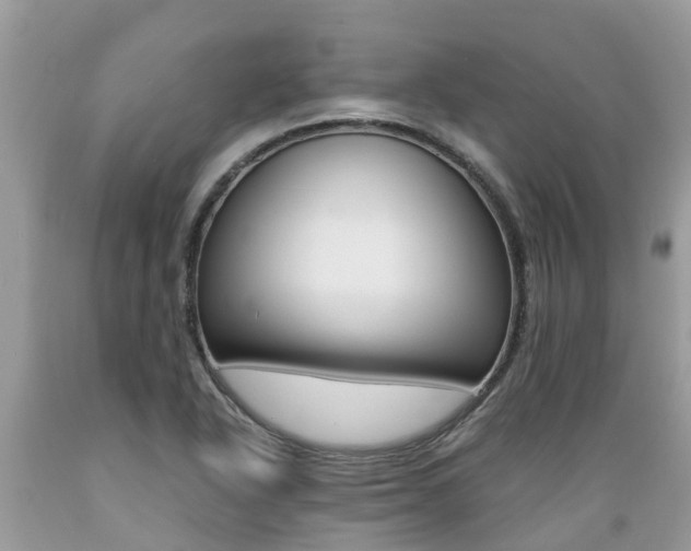 X0000089671318200706210744