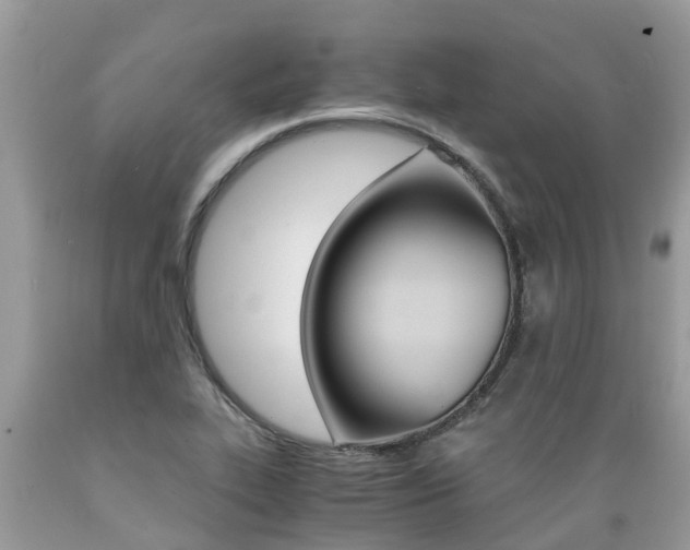 X0000089671319200706210744