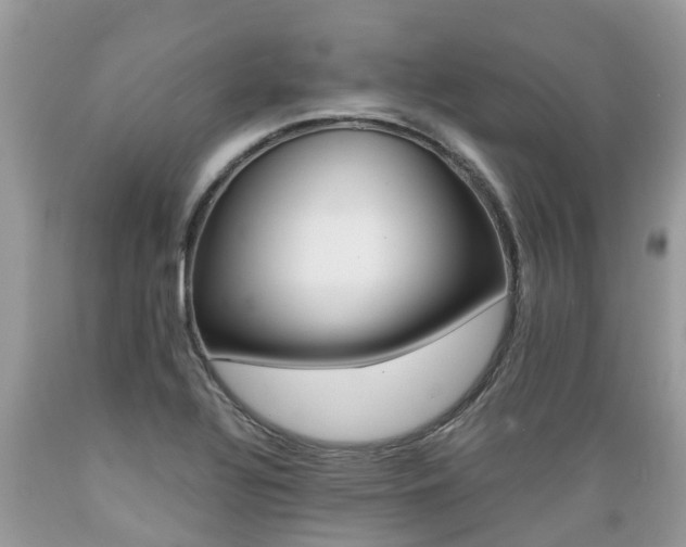 X0000089671320200706210744