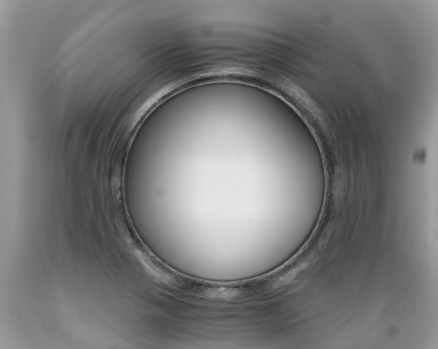 X0000089671321200706210744