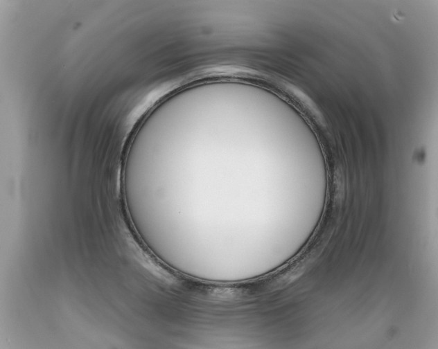 X0000089671322200706210744