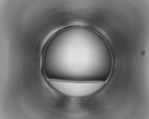 X0000089671323200706210744