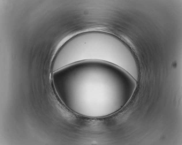 X0000089671324200706210744