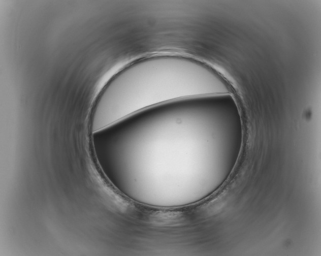 X0000089671325200706210744