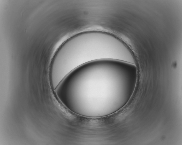 X0000089671326200706210744