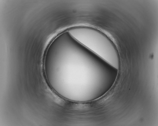 X0000089671327200706210744