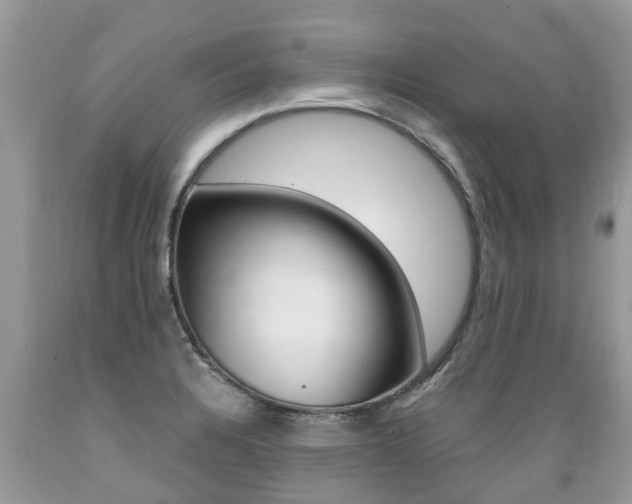 X0000089671328200706210744