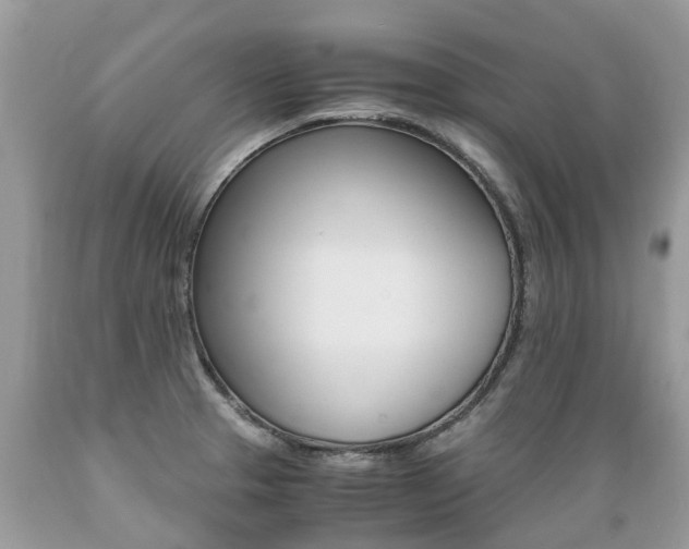 X0000089671329200706210744