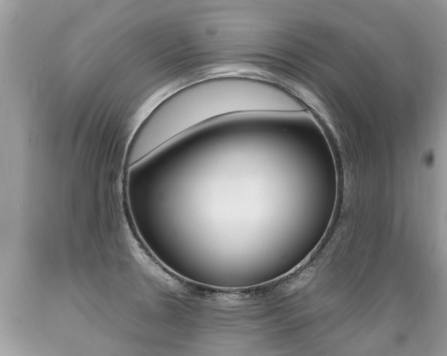 X0000089671330200706210744