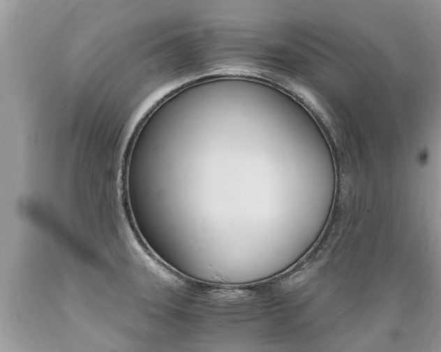 X0000089671331200706210744