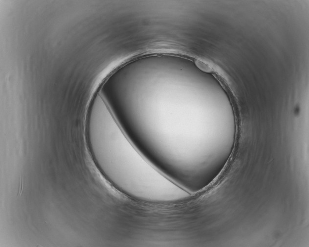 X0000089671333200706210744