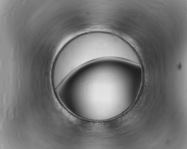 X0000089671334200706210744