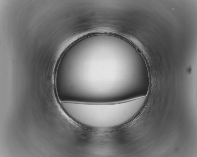 X0000089671335200706210744