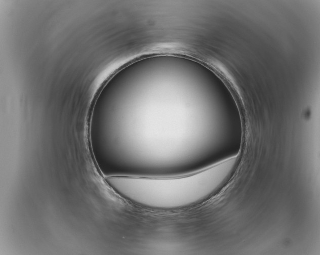 X0000089671336200706210744
