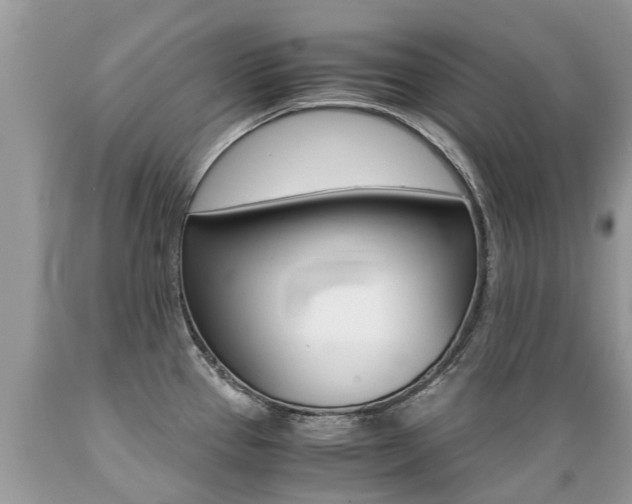 X0000089671337200706210744