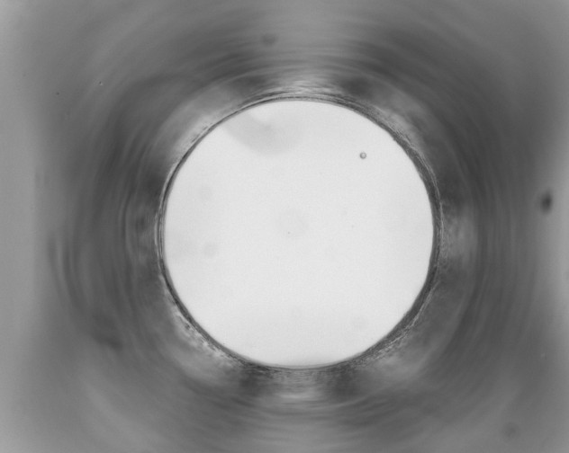 X0000089671338200706210744