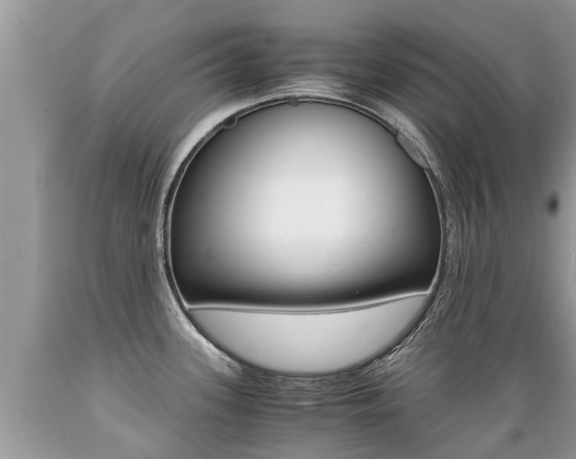 X0000089671339200706210744