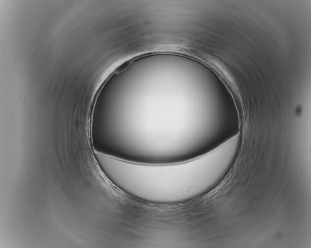 X0000089671340200706210744