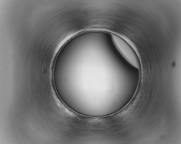 X0000089671341200706210744