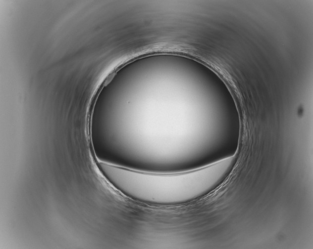 X0000089671342200706210744