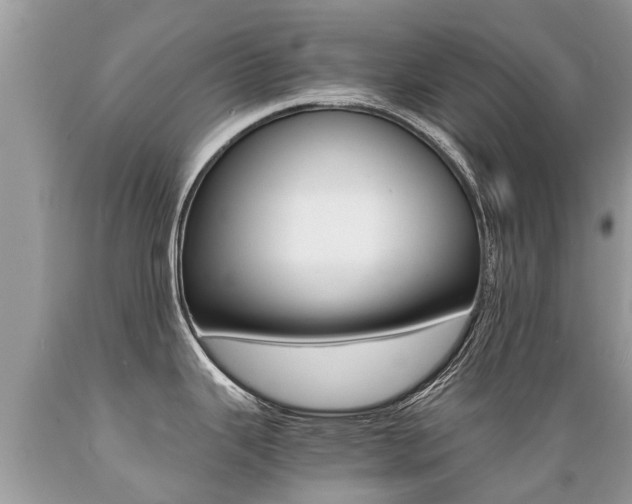 X0000089671343200706210744