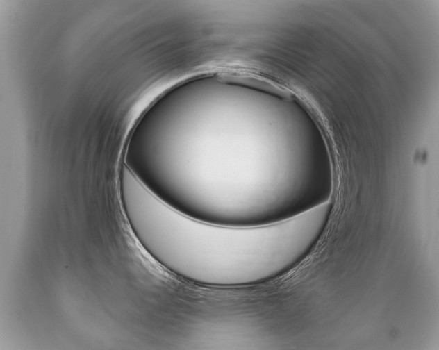 X0000089671344200706210744