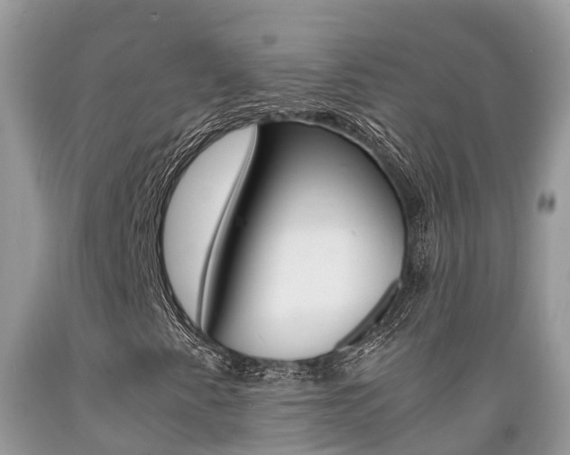 X0000089671345200706210743