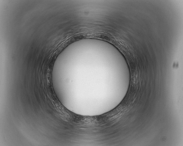 X0000089671346200706210743