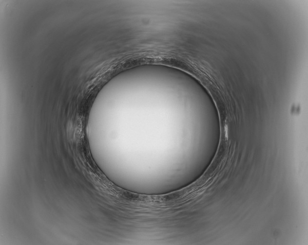 X0000089671347200706210743