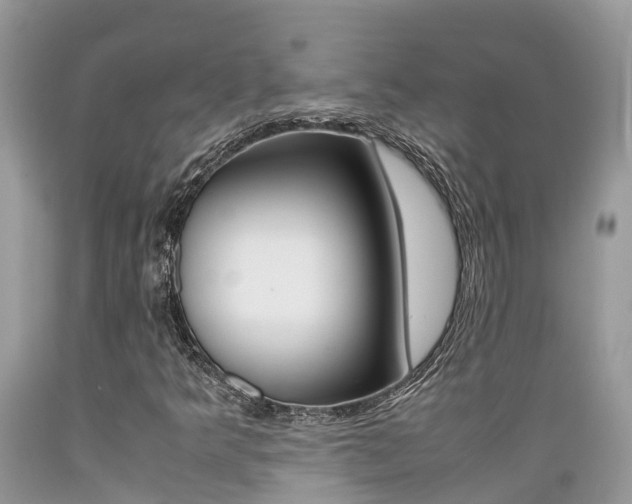 X0000089671349200706210743