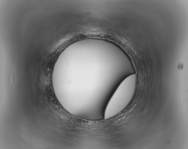 X0000089671350200706210743